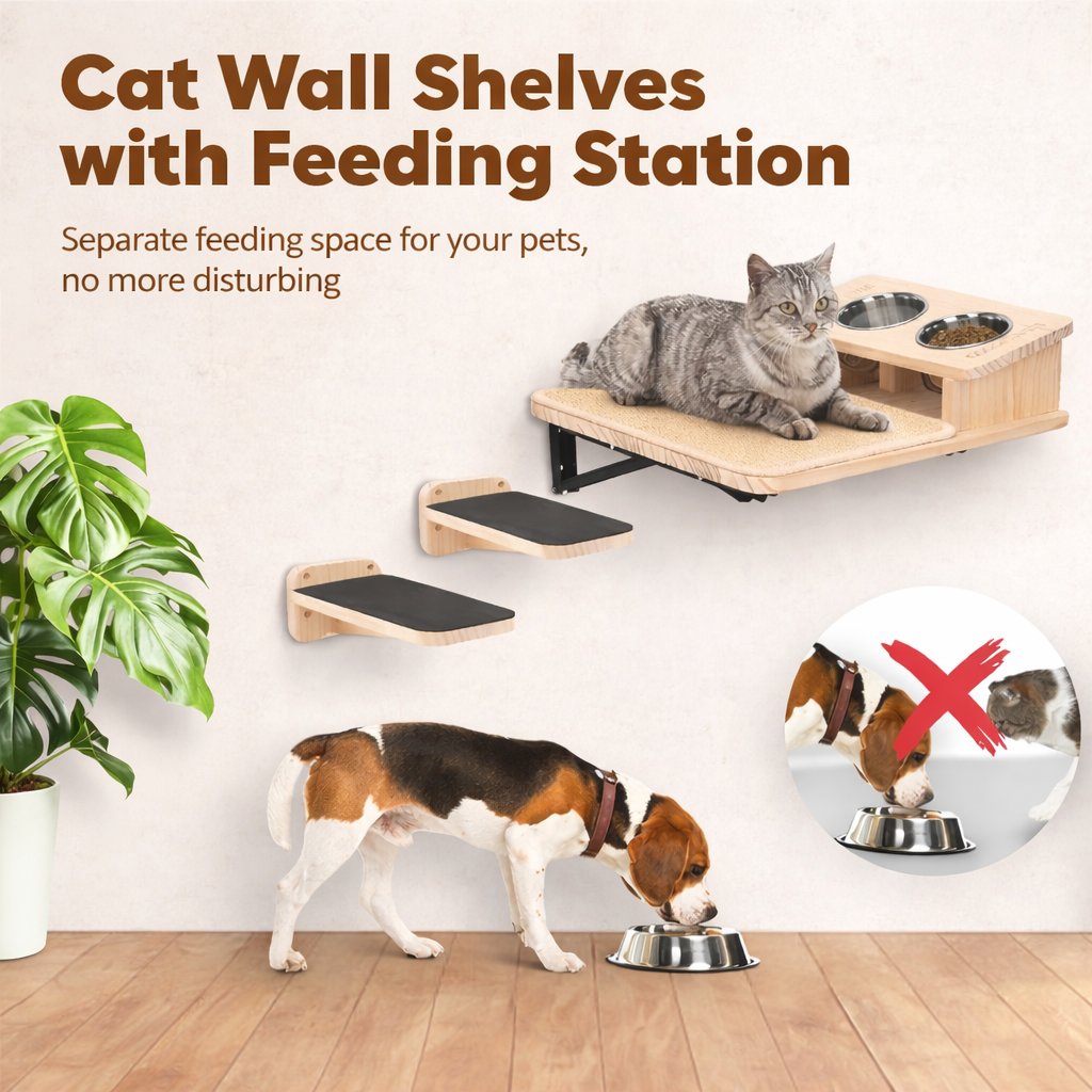 Wall Mounted Cat Adventure Set
