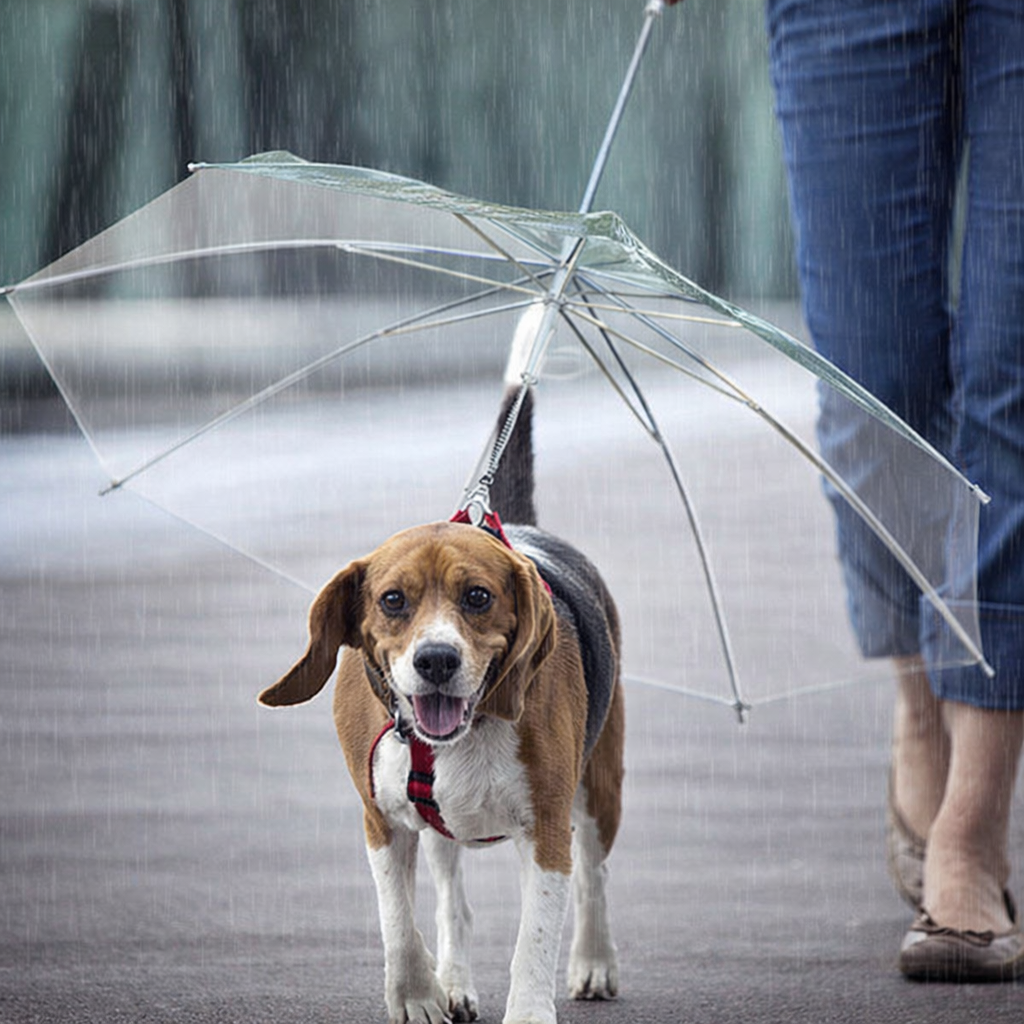 StormGuard Waterproof Puppy Raincoat With Leash