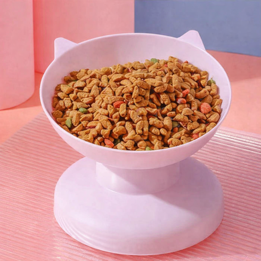 Heavy-Duty Oversize Cat Food Bowl