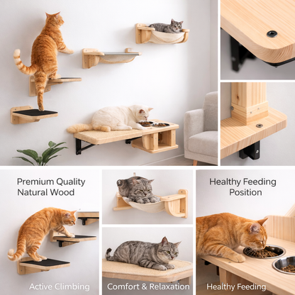 Wall Mounted Cat Adventure Set