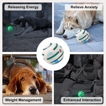 PlayGlow Interactive Dog Ball
