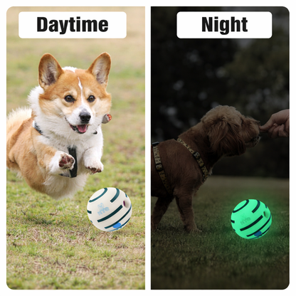 PlayGlow Interactive Dog Ball